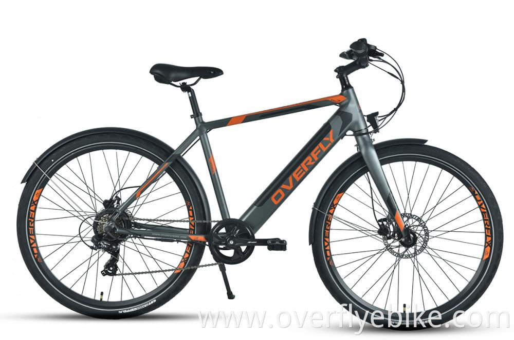 Best Trekking eBike